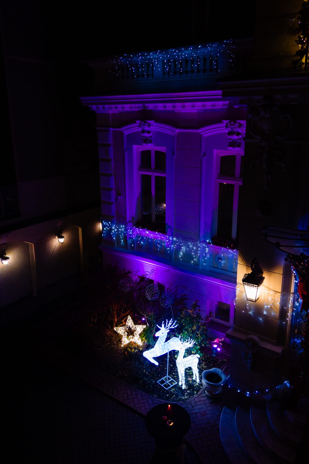 Curtea Palatului Noblesse seara, cu reni luminoși și ghirlande de Crăciun