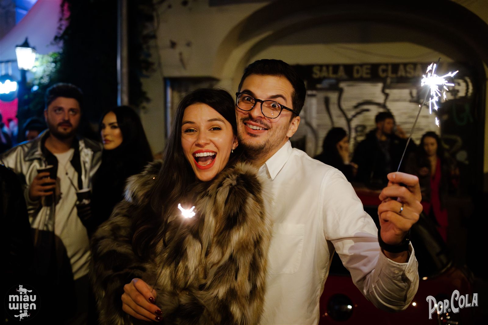 Artificii de mână la petrecerea de Revelion MiauMiau