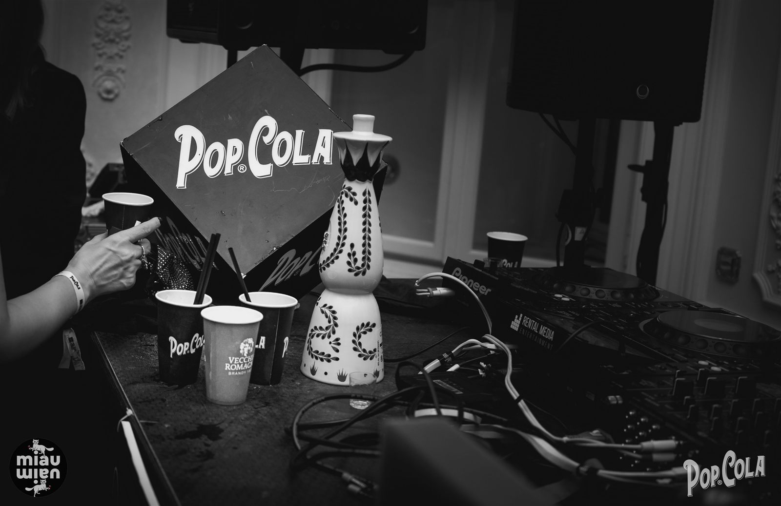 DJ set la petrecerea de Revelion MiauMiau