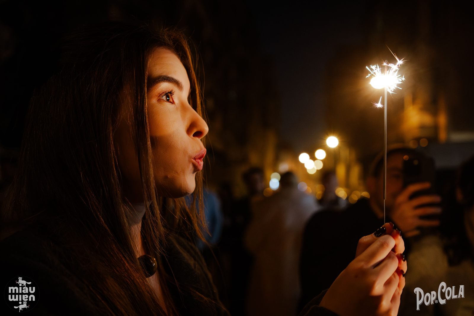 Invitată cu artificii la miezul nopții, Revelion la Palatul Noblesse