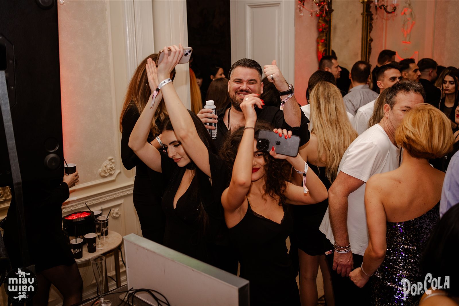 Invitați cu mâinile sus la petrecerea de Revelion de la Palat