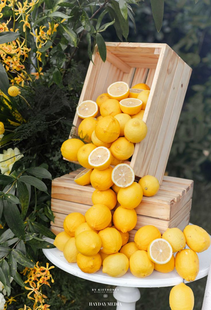 Bar de limonadă la Palatul Noblesse – prospețimea care aduce echilibru și rafinament unui eveniment - Palatul Noblesse