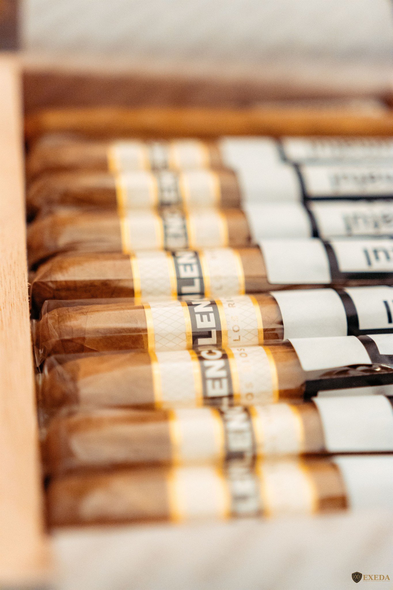 Cigar Bar la Palatul Noblesse – Eleganța unui moment de răsfăț într-un cadru regal din 1881 - Palatul Noblesse