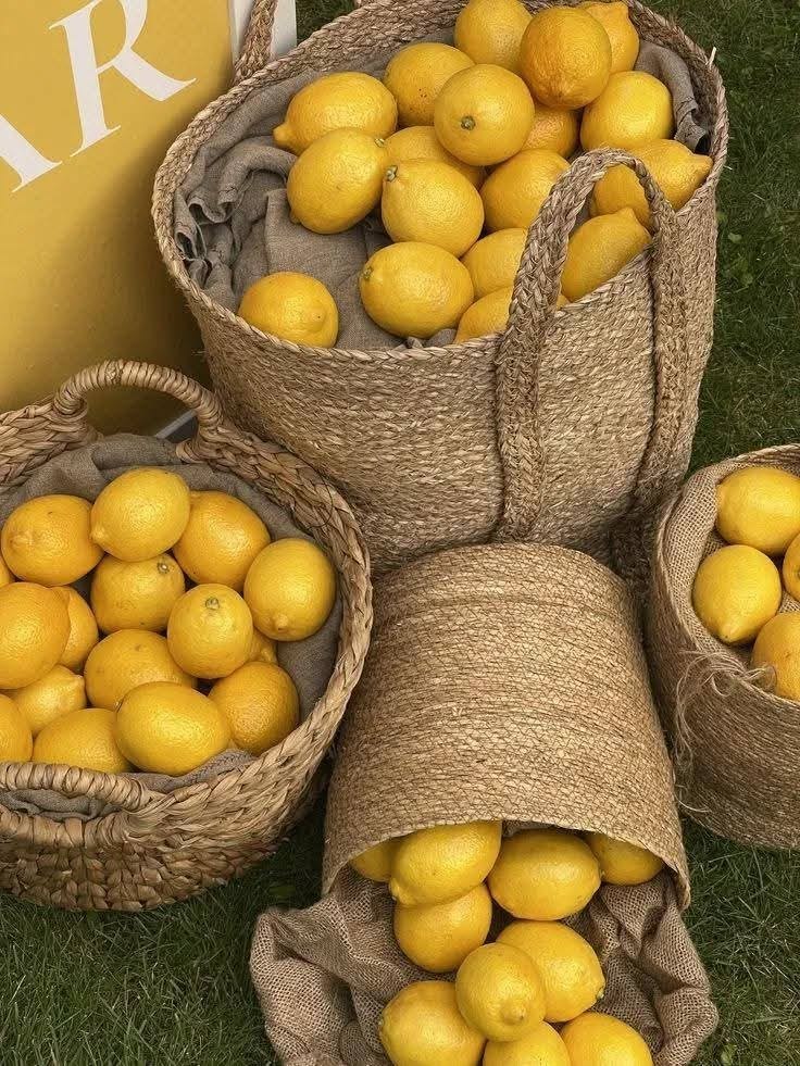 Bar de limonadă la Palatul Noblesse – prospețimea care aduce echilibru și rafinament unui eveniment - Palatul Noblesse